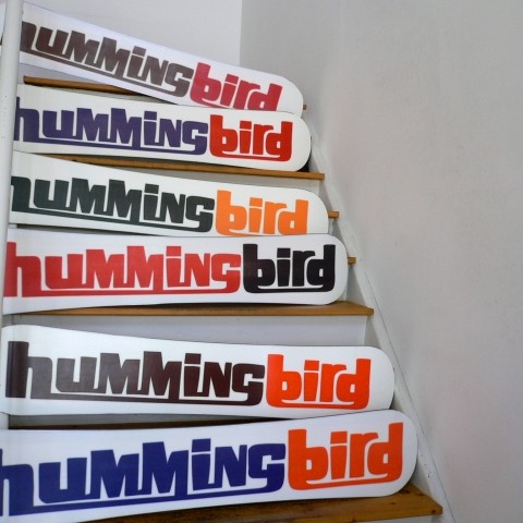 hummingbird | SQUAL